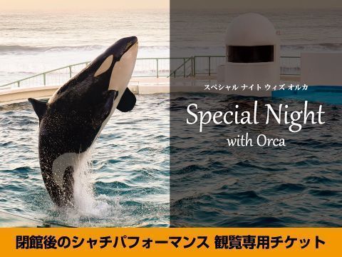 Special Night with Orca
